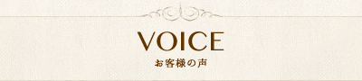 VOICE