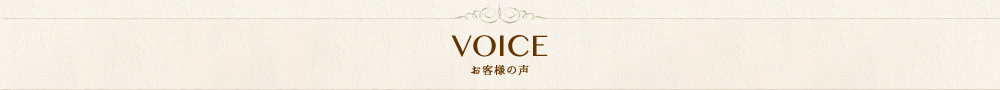 VOICE