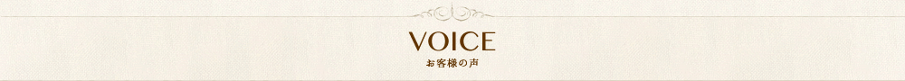 VOICE